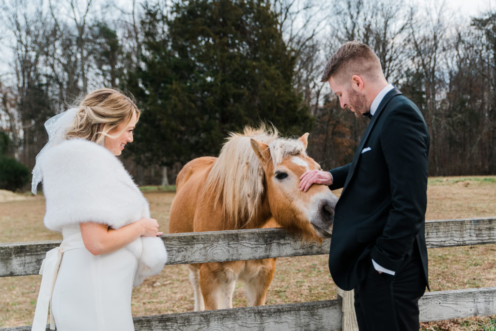 A bride and groom petting a horse at Morais Vineyards and Winery