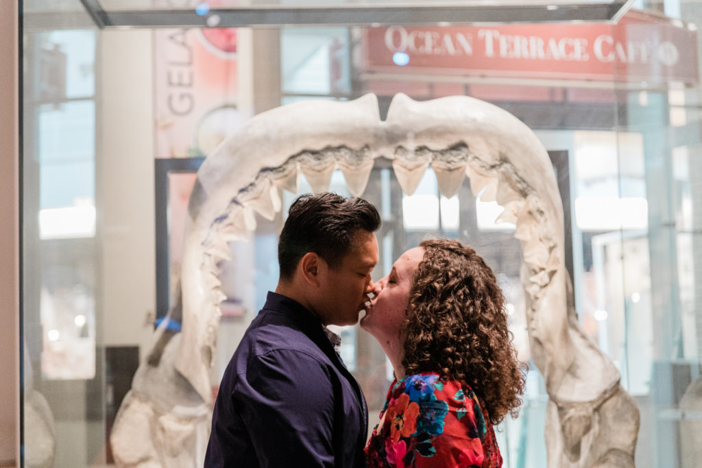 A man and a woman kissing in front of a fossil of a dinosaur mouth at the Smithsonian Natural History Museum