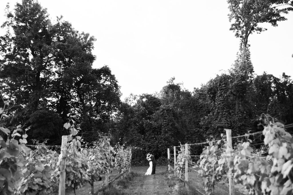 A bride and groom kissing in a vineyard